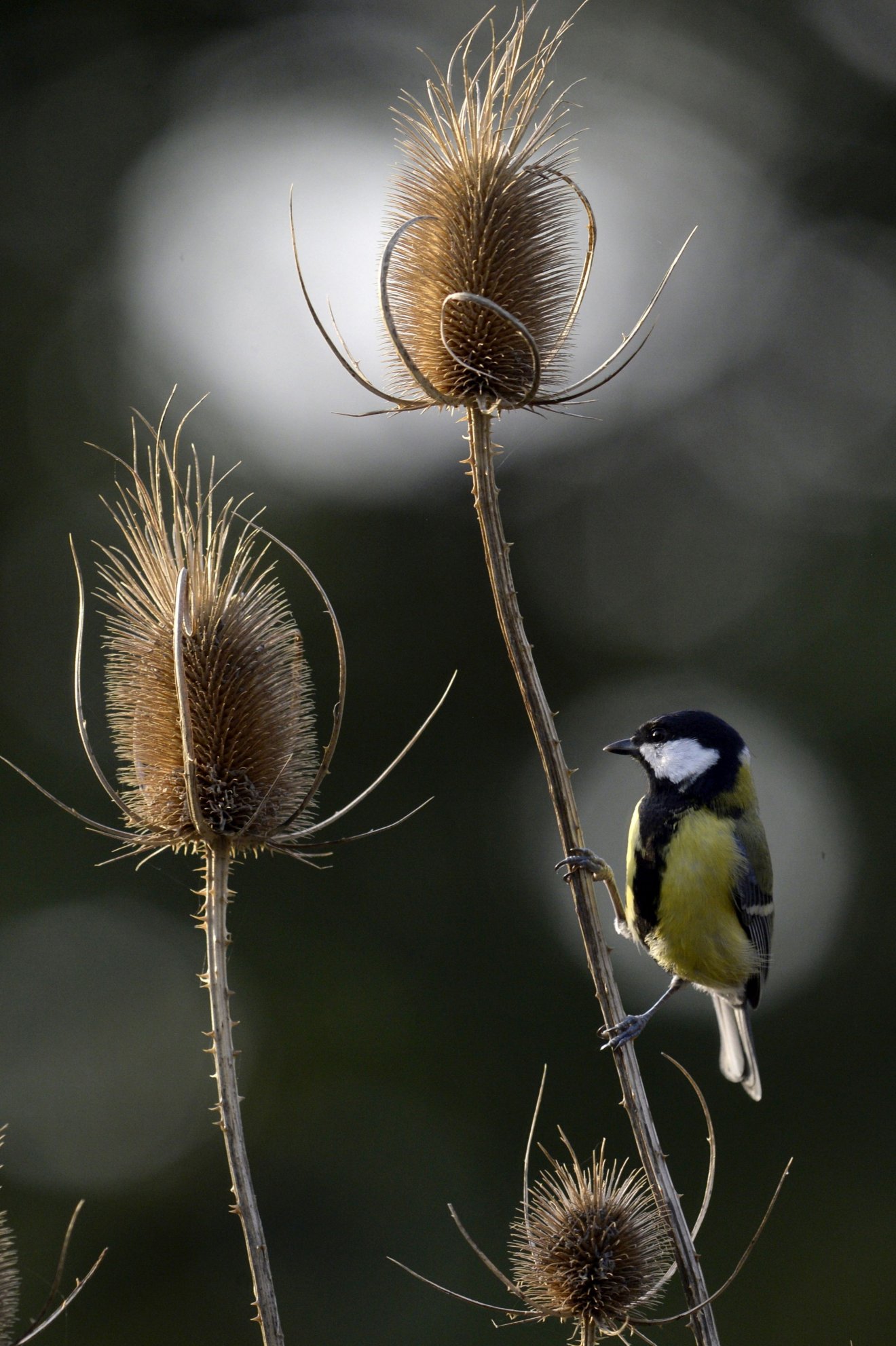 •  Fotó: Kovács Attila/MTI