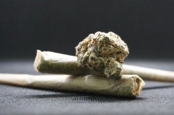 Egy kis mellékes? Termesztette, porciózta, majd grammonként eladta a kannabiszt a gyanúsított angoltanár