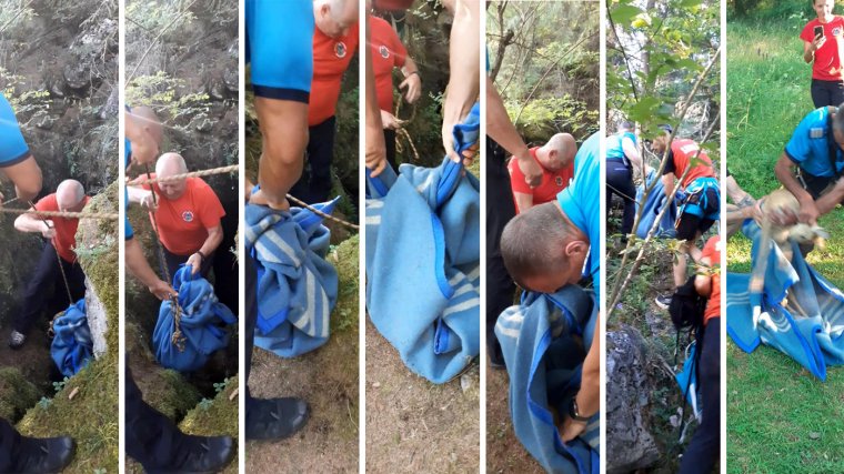 Őzgidát mentettek ki a Medve-barlangból