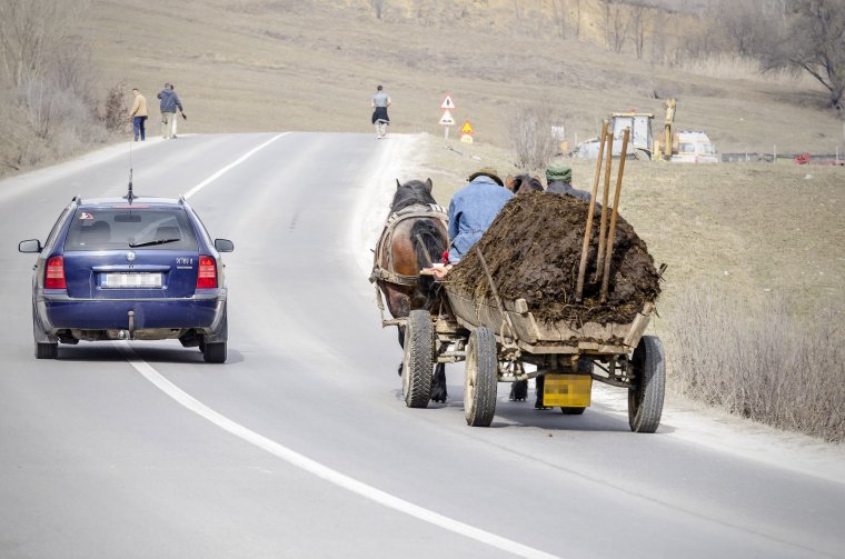 Ahol még estében fel kell fogni a lócitromot