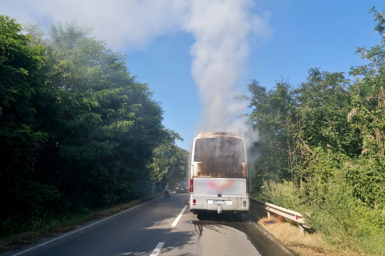 •  Fotó: Olvasói felvétel