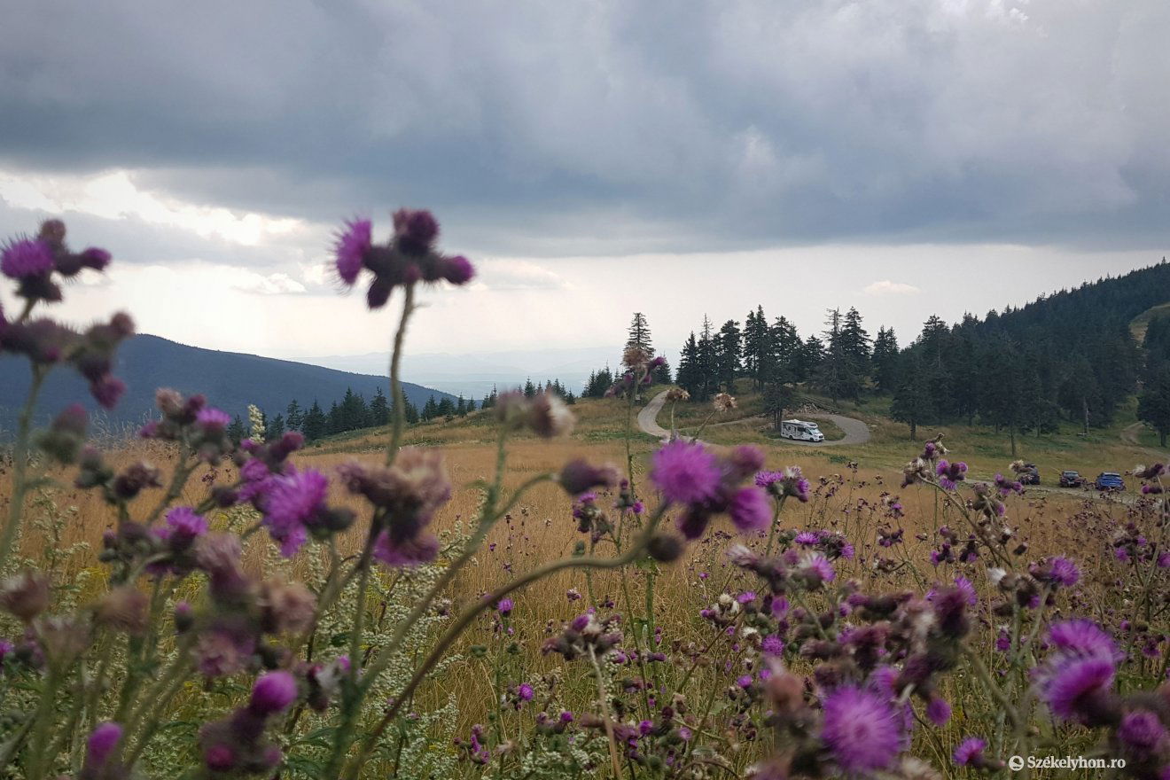 Képünk illusztráció •  Fotó: Bálint István