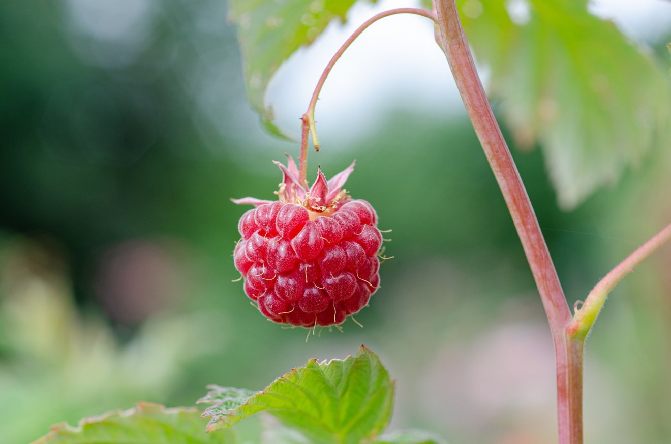 Képünk illusztráció •  Fotó: Pixabay