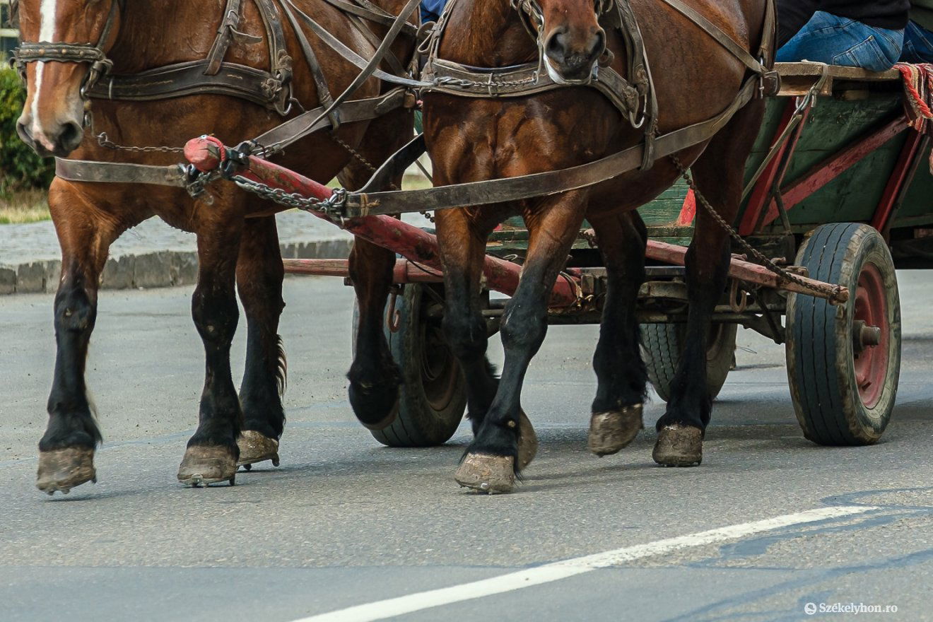 Képünk illusztráció •  Fotó: Veres Nándor