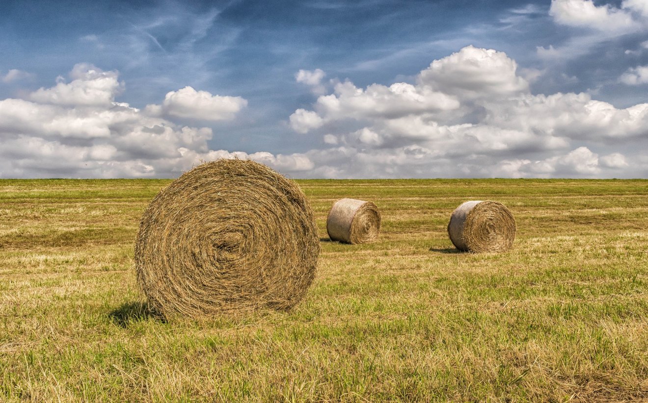 Képünk illusztráció •  Fotó: Pixabay