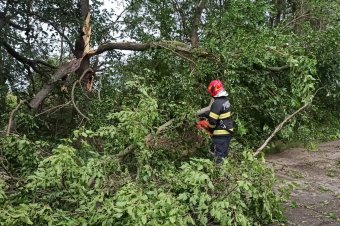 Erdélyben és a Partiumban is sok helyen okozott károkat az ítéletidő