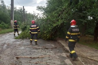 Halálos áldozatot követelt az orkán erejű szél