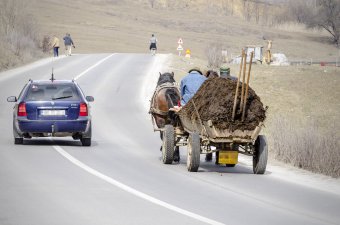 Ahol még estében fel kell fogni a lócitromot