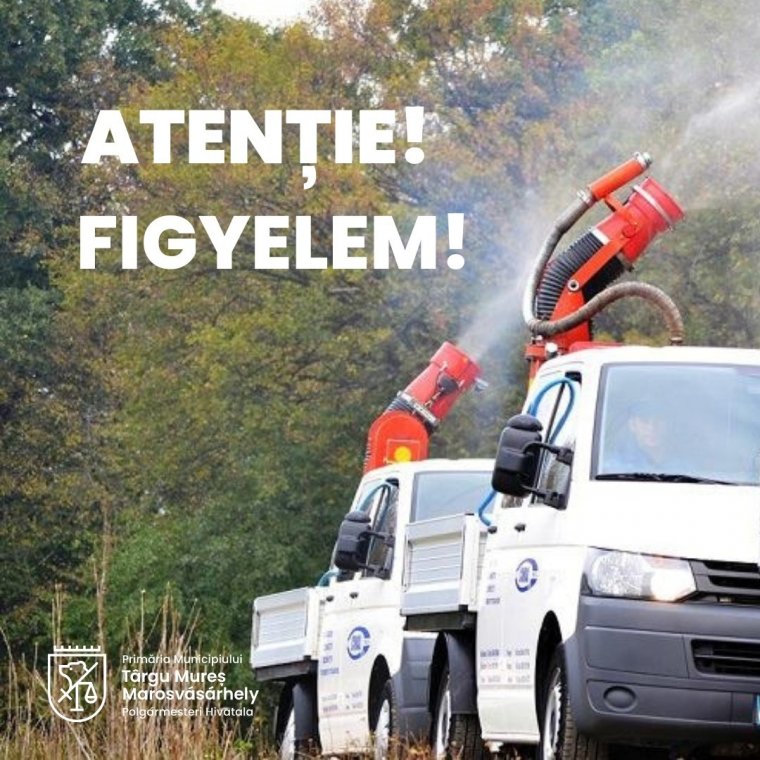 Szúnyogirtás Marosvásárhelyen