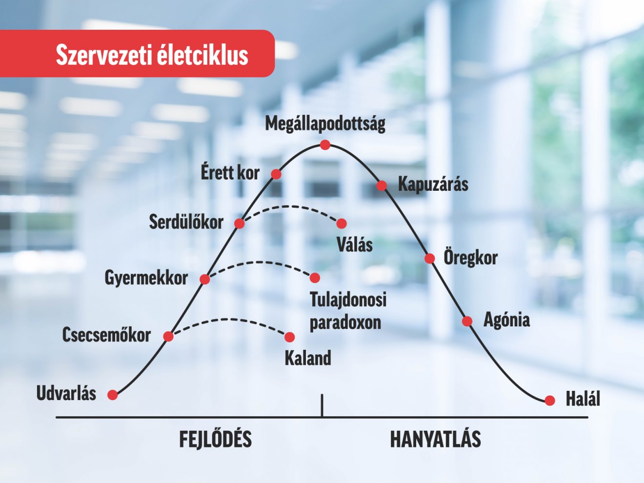 Adizes szervezeti életciklus modell. Infografika: Csáki Ferencz 
