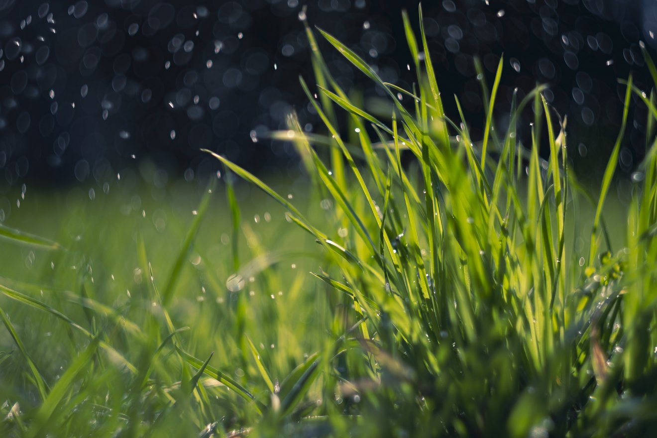 Akinek elege van a fűnyírók hangjából, az nem mostanában fog felszusszanni. Képünk illusztráció •  Fotó: Pixabay