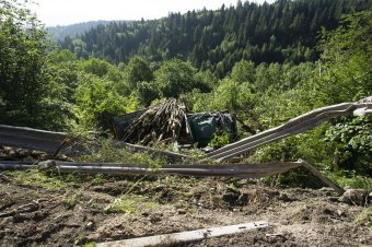 Fát szállító teherautó borult fel Csíkszereda bejáratánál