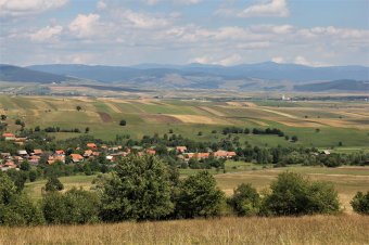 Állítólag a falu közepén, egy csűrbe költözött be a medve