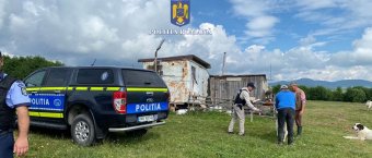 Kutyái elpusztítása miatt őrizetbe vettek egy szatmári férfit