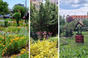 Sepsiszentgyörgy legszebb zöldövezetei – az első három helyezett