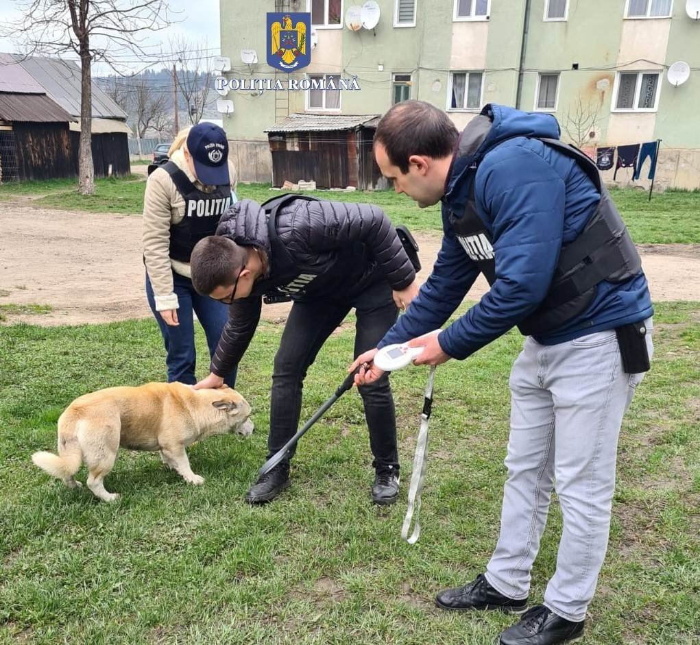 •  Fotó: Hargita Megyei Rendőr-főkapitányság