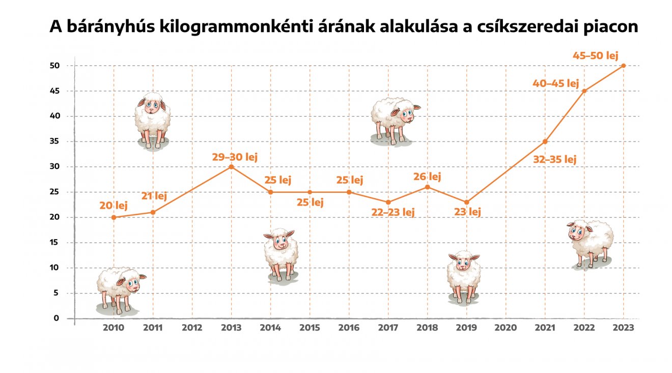 Infografika: Csáki Ferencz 