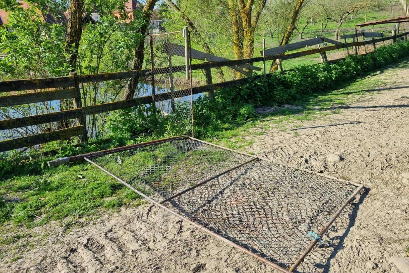 •  Fotó: Székelyhon