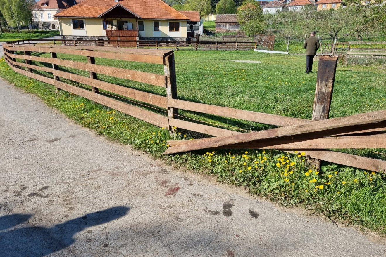 •  Fotó: Székelyhon