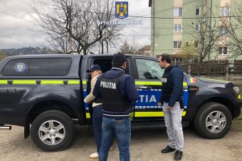 Több kutyát is befogtak az állatrendőrök Maroshévízen