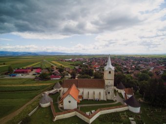 Új menhellyel oldanák meg a kóborkutya-problémát Felső-Háromszéken