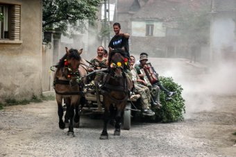 Május elsején állítják a jakabfát, az ébredő szerelem jelképét