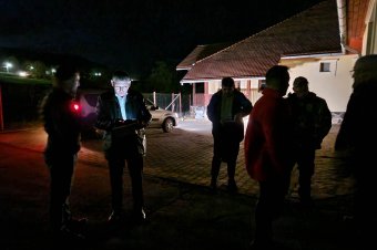 Figyelmeztető lövéssekkel riasztották el a medvét Székelyudvarhelyen