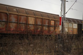 Videójátékot utánozva mászott egy vagon tetejére, súlyos áramütést szenvedett