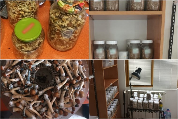 Droglabort számoltak fel a háromszéki hatóságok