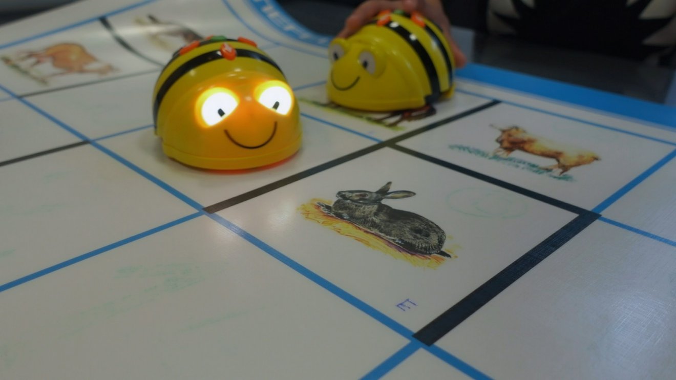 •  Fotó: Csata Orsolya