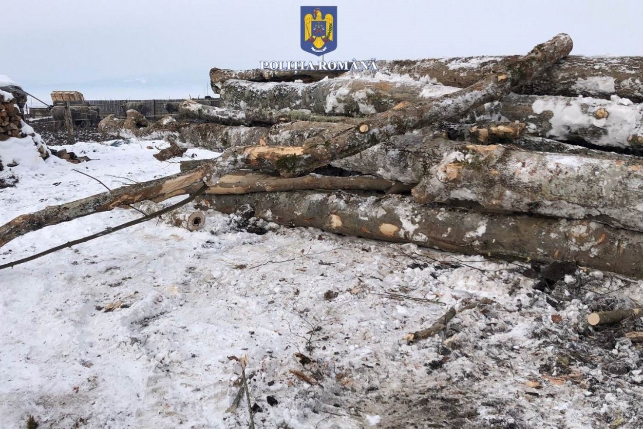 •  Fotó: Hargita Megyei Rendőr-főkapitányság