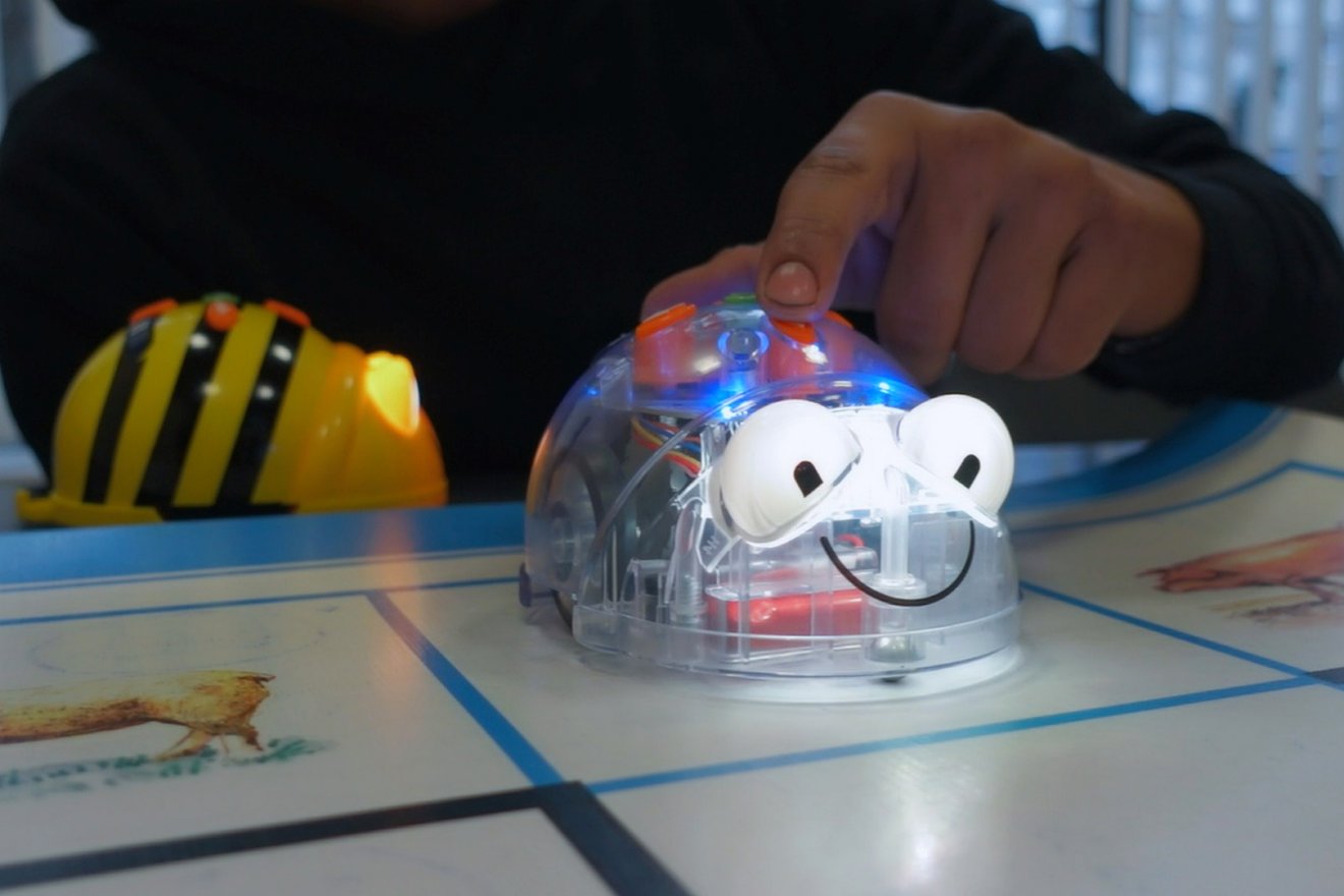 •  Fotó: Csata Orsolya