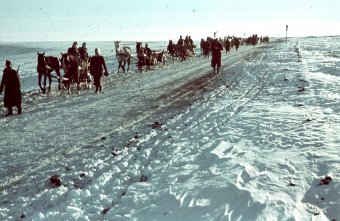Egy nemzetnek el kell siratnia a halottait: 80 éve történt a doni tragédia