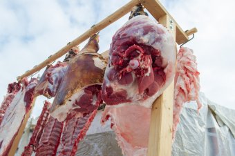 Vágóhidak létesítése: az érintettek összefogása nélkül lehetetlen