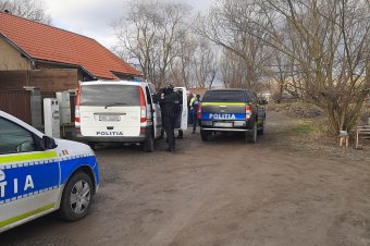Kutyatartók miatt lephették el a patkányok a szomszédokat Bethlenfalván