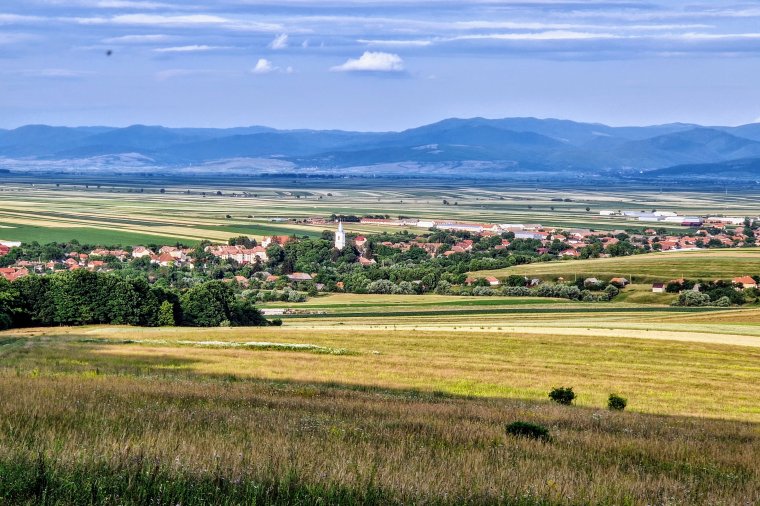 Amikor a gazda kezdi visszanyerni rendes arcszínét