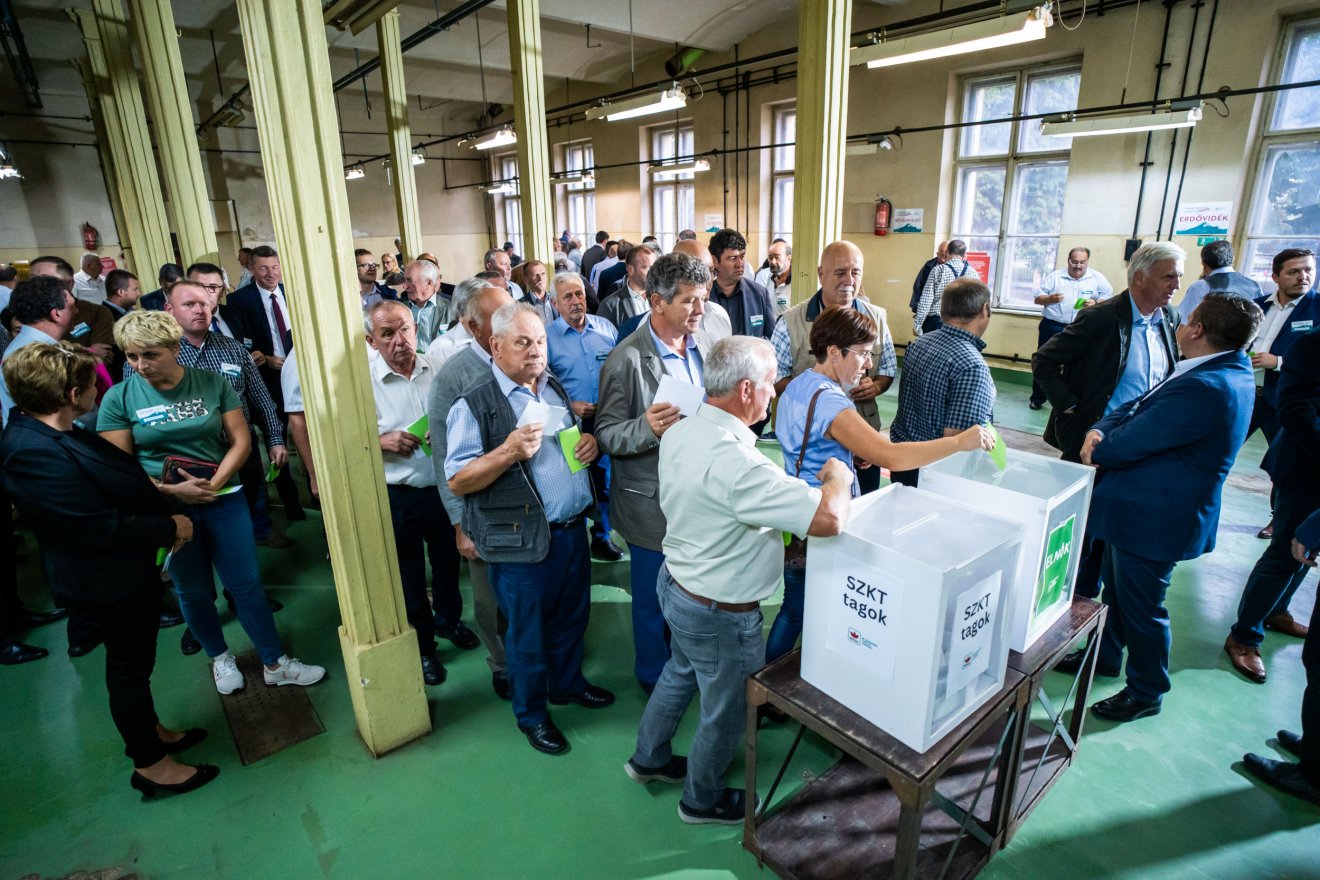 •  Fotó: Kocsis B. János