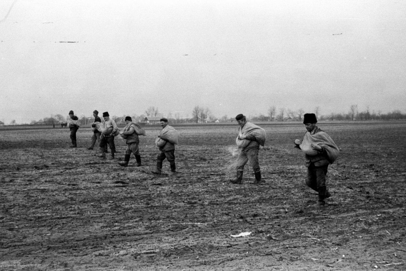Vetés az 1960-as években •  Fotó: Fortepán/Péterffy István