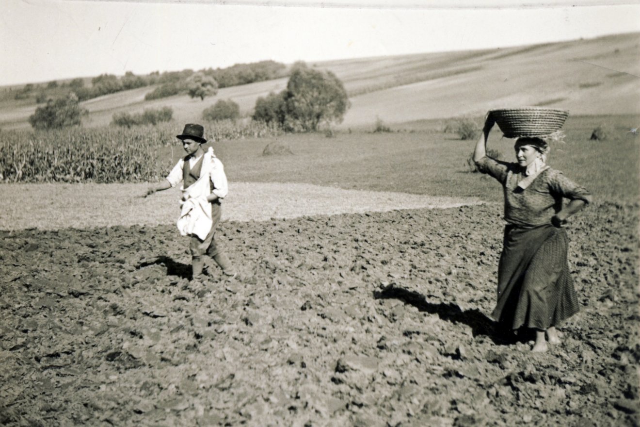 Vetés az 1930-as években •  Fotó: Fortepán/Új nemzedék napilap