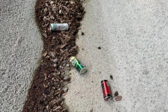 Sok a szemét a Hatod-tetőn, a megyeitanács-elnök ideges