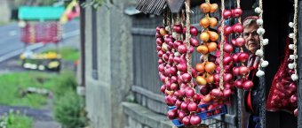 Gabonára hagymát. Ukrajnából szerzi be legfontosabb fűszernövényét Románia