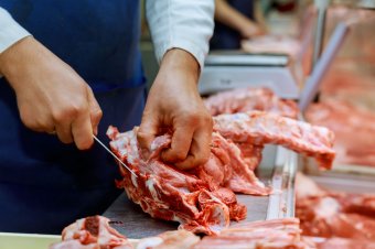 Munkanélküliek számára indítanak ingyenes képzéseket