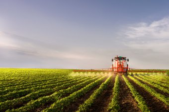 Mérgező növényvédő szerek betiltására szólítják az agrártárcát környezetvédő szervezetek