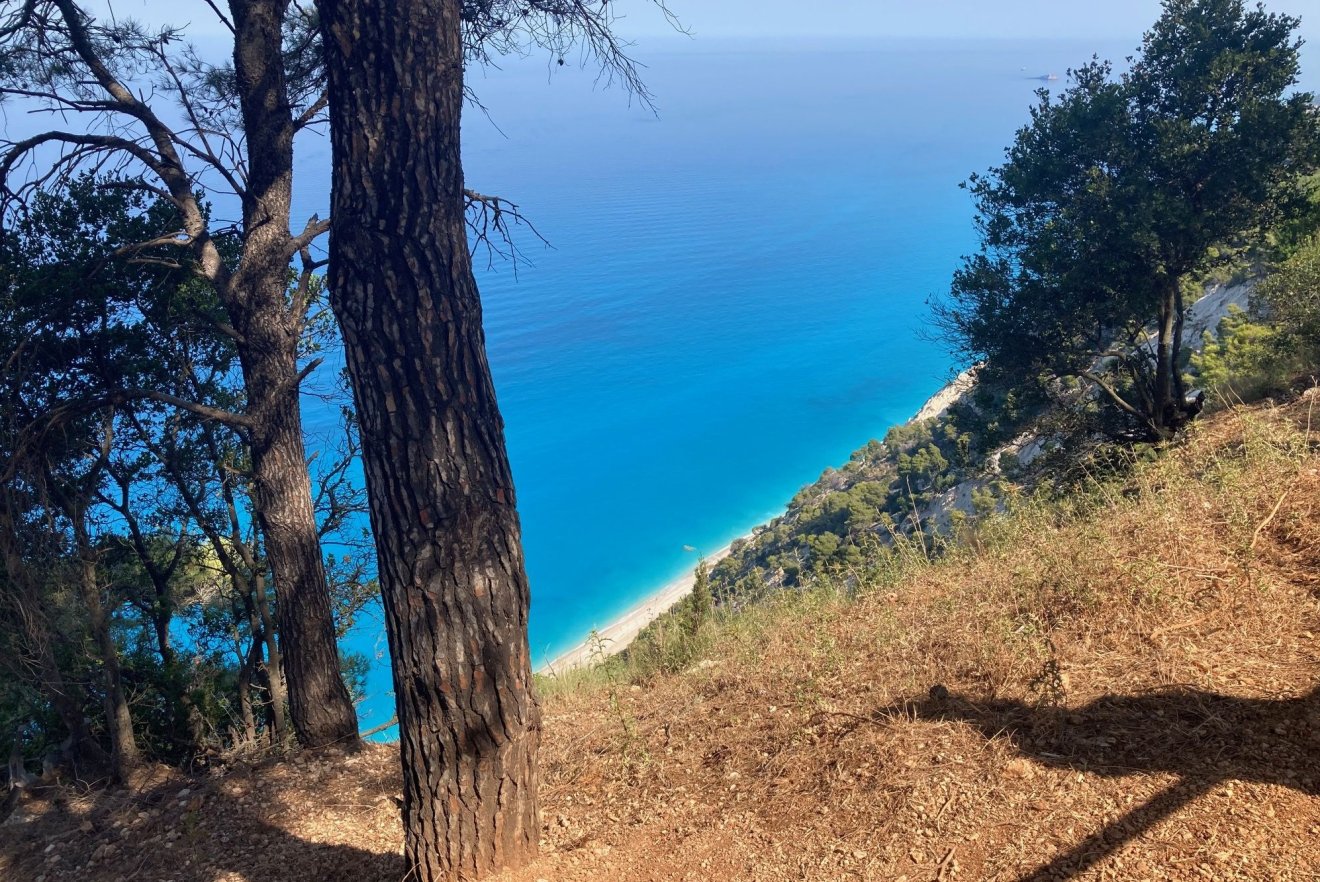 •  Fotó: Asztalos Ágnes