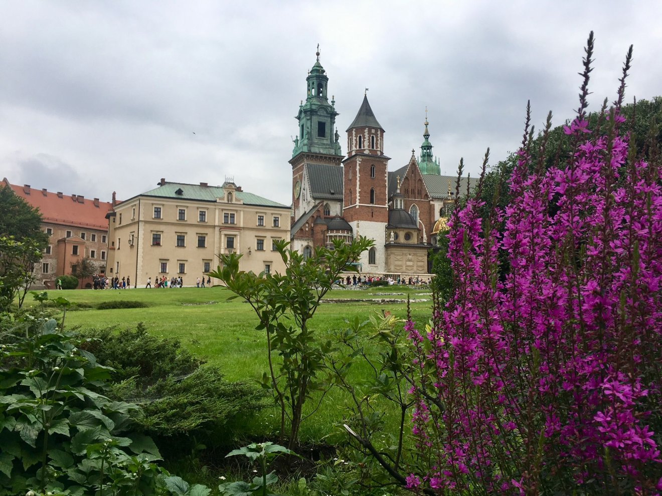 Virágok és a Wawel •  Fotó: Asztalos Ágnes