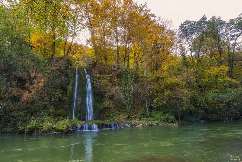 •  Fotó: Sorin Sotoc