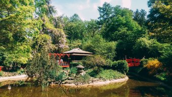 Egy évszázada várja látogatóit a kolozsvári botanikus kert, nyílt nap az arborétumban