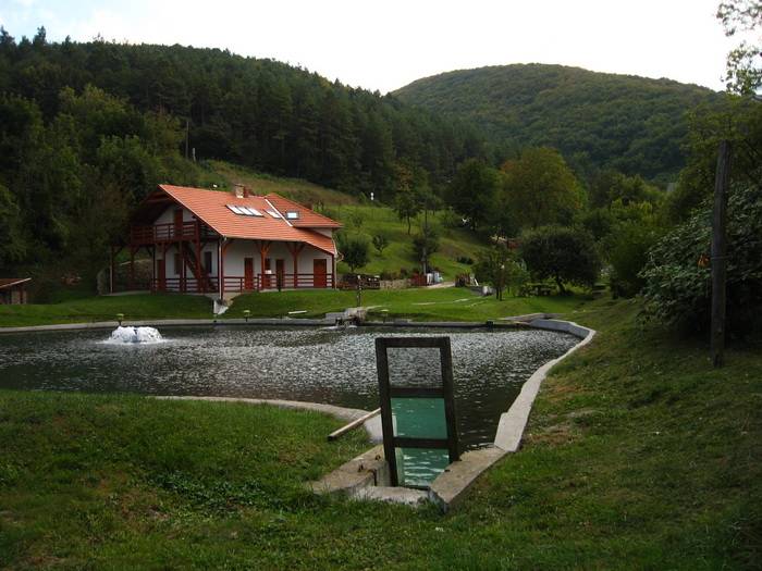 Egyesületbe tömörülnének a pisztrángtenyésztők