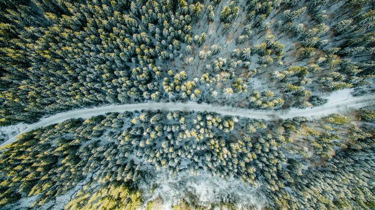 Újraállamosítás: nemzetközi bíróságokhoz fordulnak Bánffy Dániel örökösei az erdőtulajdon ügyében