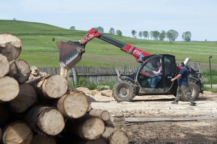 Ki vészeli át a telet?